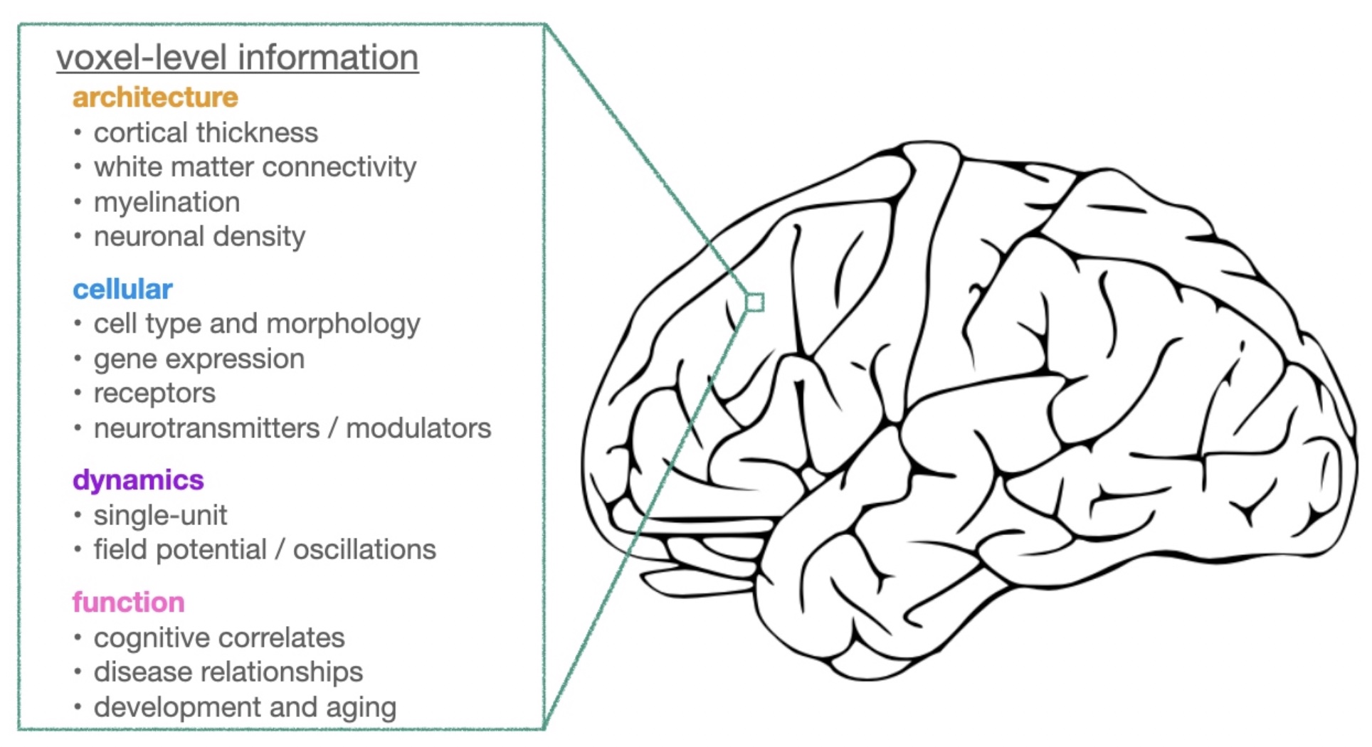 Neural Data Science