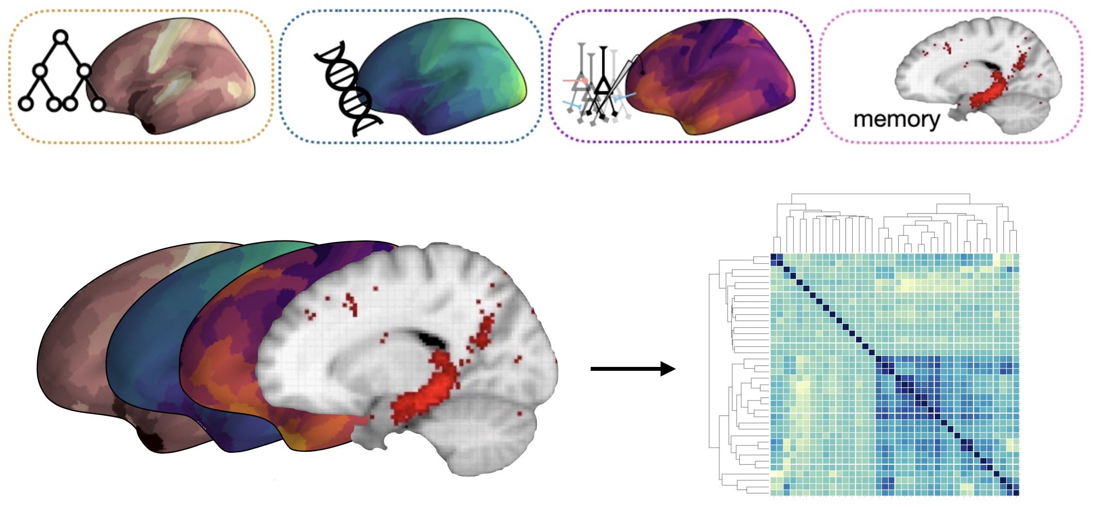 Neural Data Science