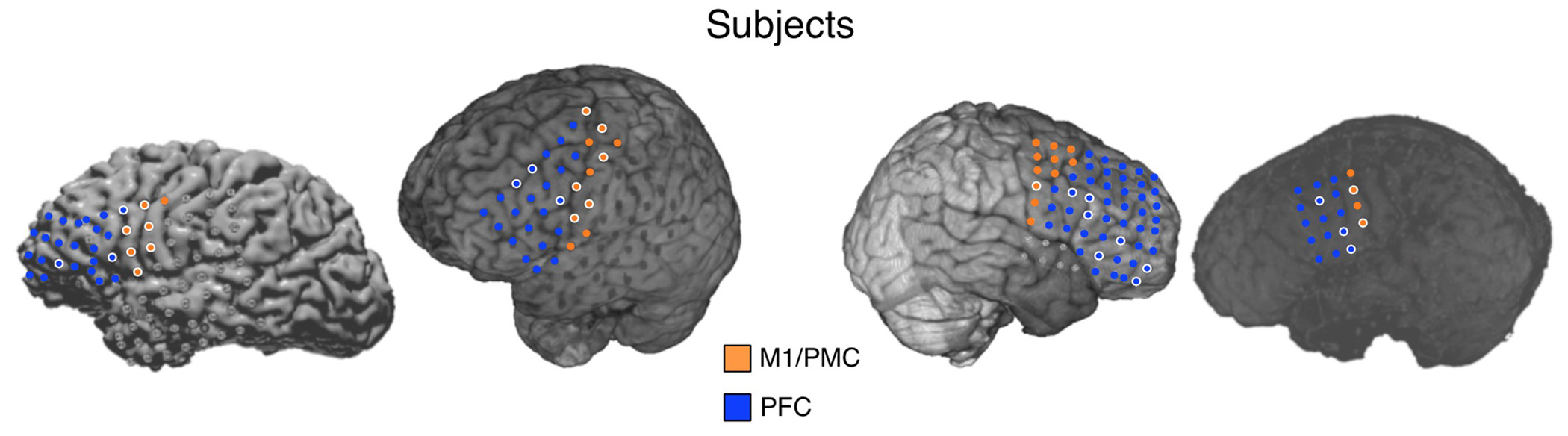 Voytek et al., Nature Neuroscience Figure 1C