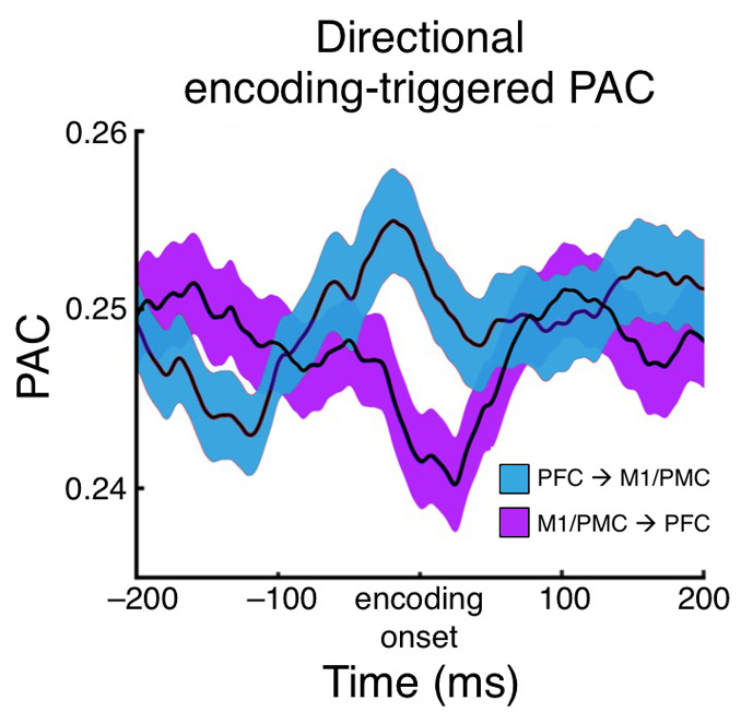 Voytek et al., Nature Neuroscience Figure 5C